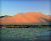 Idaho Bruneau Dunes